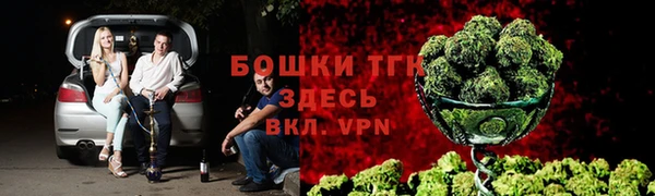 СК Дмитровск