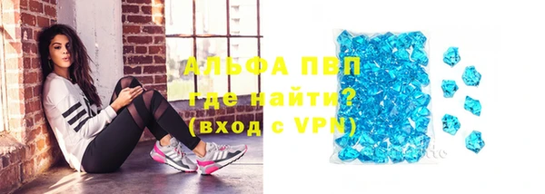 шишки Дмитров