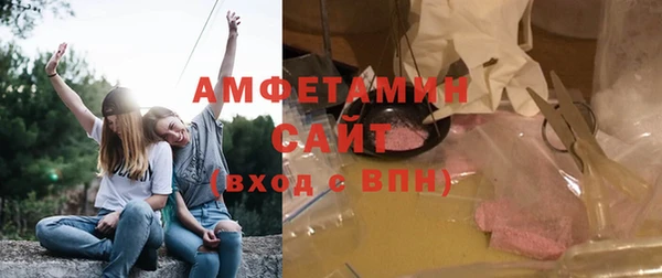шишки Дмитров