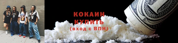 шишки Дмитров