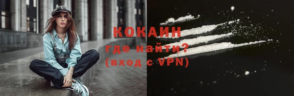 шишки Дмитров