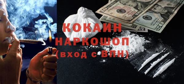 шишки Дмитров
