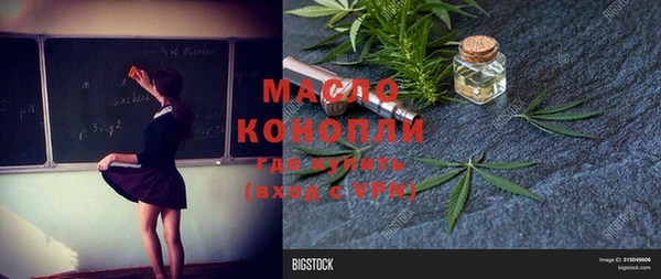 шишки Дмитров