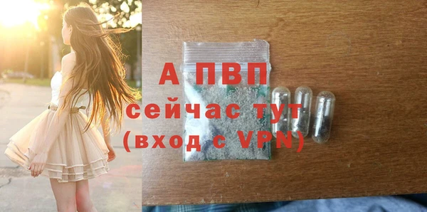 СК Дмитровск