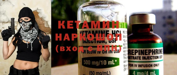 шишки Дмитров